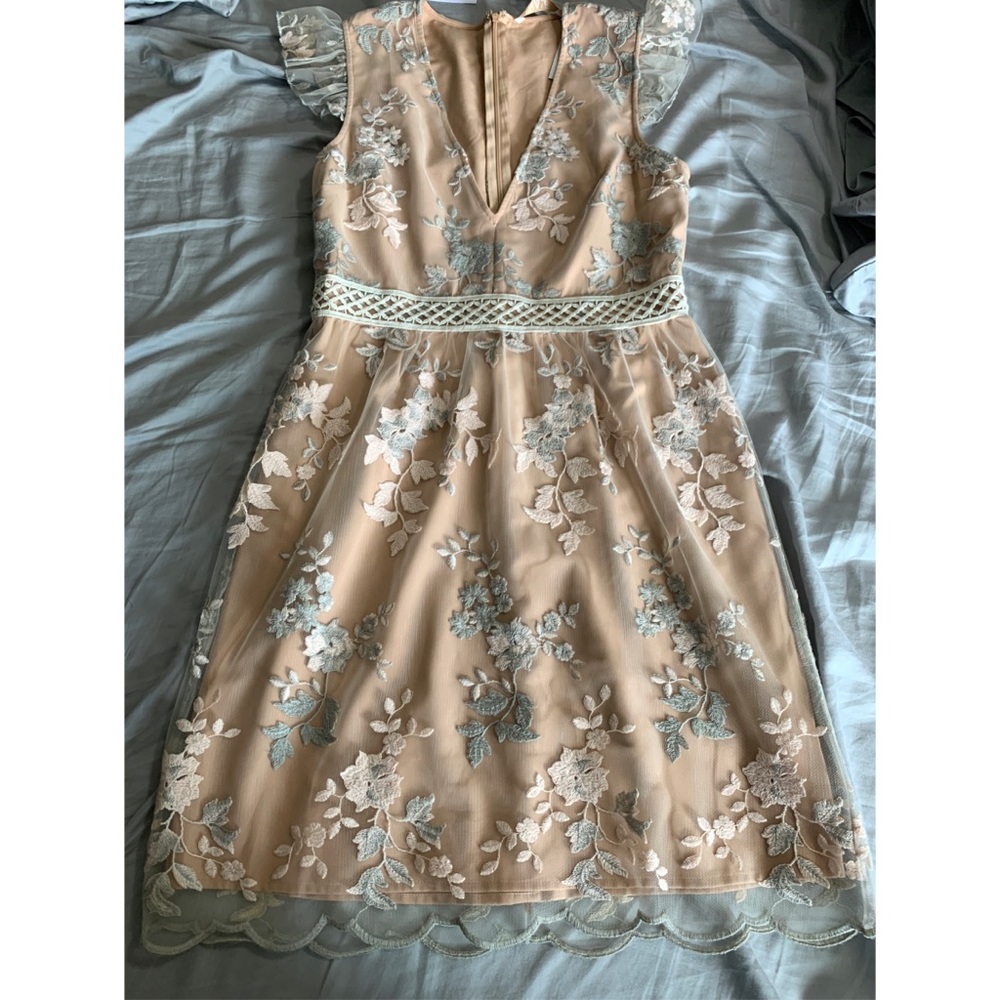 Blush embroidered dress